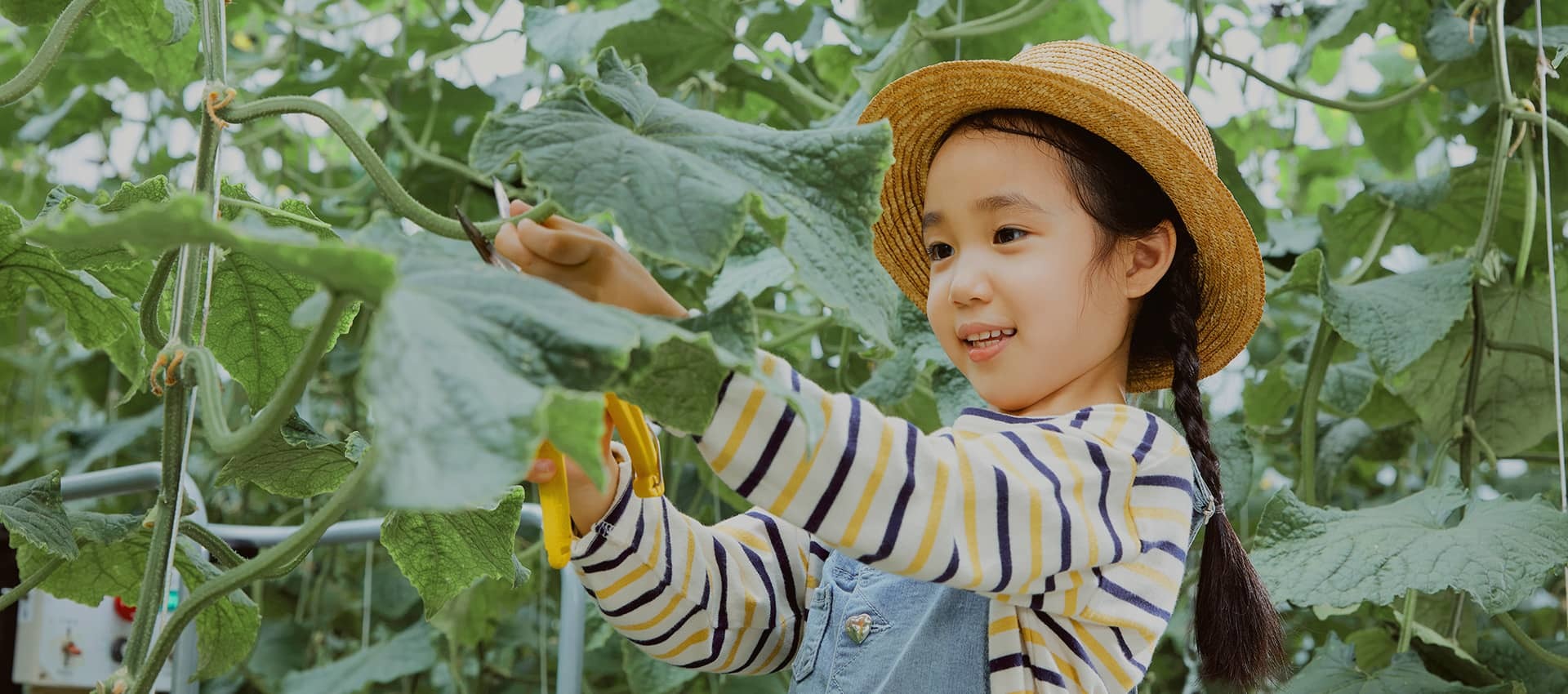 Experience Nature, Alive and Real|우림<span class='pt'>관광농원</span>|직접 만지고 느끼는 자연, 살아있는 체험 여행